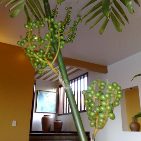 Pousada Gente Bonita Mirante Búzios 外观 照片
